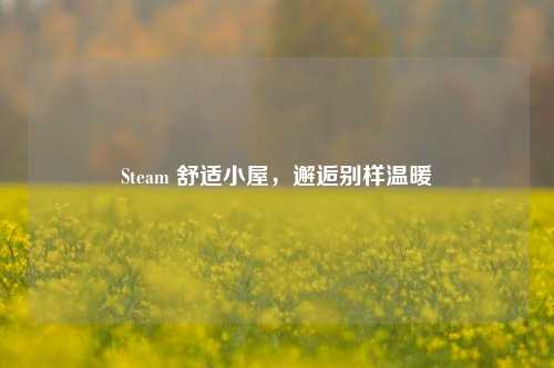 Steam 舒适小屋，邂逅别样温暖