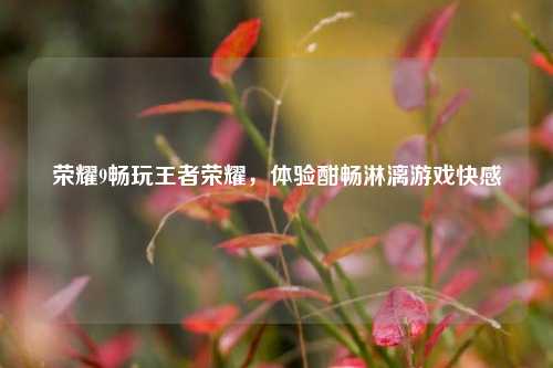荣耀9畅玩王者荣耀，体验酣畅淋漓游戏快感