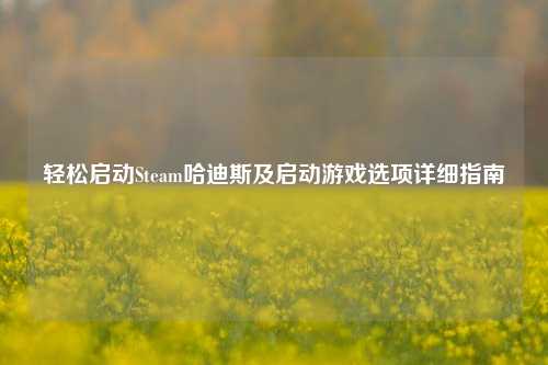 轻松启动Steam哈迪斯及启动游戏选项详细指南