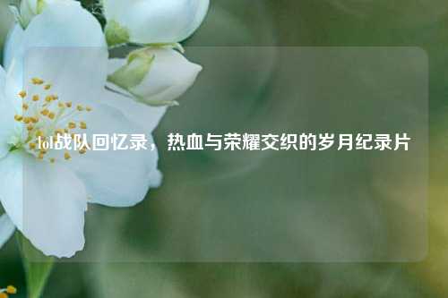 lol战队回忆录，热血与荣耀交织的岁月纪录片