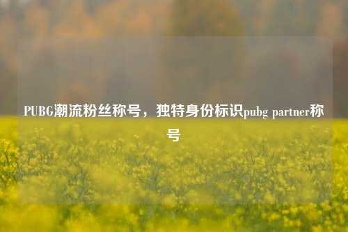 PUBG潮流粉丝称号,独特身份标识pubg partner称号