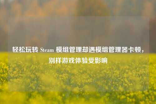 轻松玩转 Steam 模组管理却遇模组管理器卡顿，别样游戏体验受影响