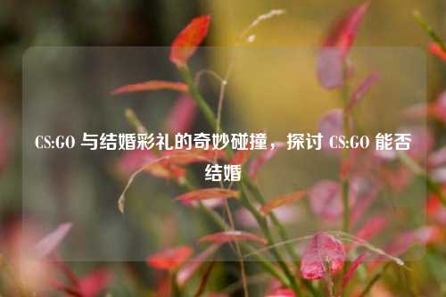 CS:GO 与结婚彩礼的奇妙碰撞,探讨 CS:GO 能否结婚