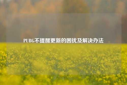 PUBG不提醒更新的困扰及解决办法