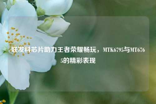 联发科芯片助力王者荣耀畅玩，MTK6795与MT6765的精彩表现