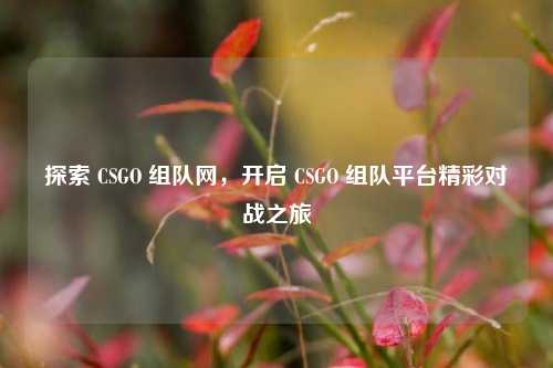探索 CSGO 组队网，开启 CSGO 组队平台精彩对战之旅