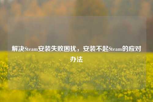 解决Steam安装失败困扰，安装不起Steam的应对办法