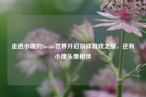 走进小埋的Steam世界开启别样游戏之旅，还有小埋头像相伴