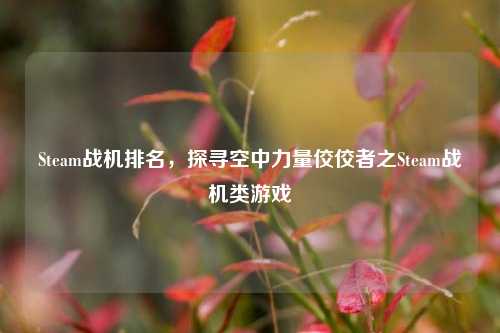 Steam战机排名，探寻空中力量佼佼者之Steam战机类游戏