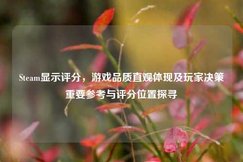 Steam显示评分，游戏品质直观体现及玩家决策重要参考与评分位置探寻