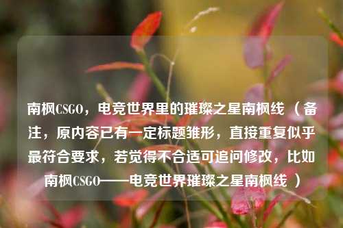 南枫CSGO，电竞世界里的璀璨之星南枫线 （备注，原内容已有一定标题雏形，直接重复似乎最符合要求，若觉得不合适可追问修改，比如南枫CSGO——电竞世界璀璨之星南枫线 ）