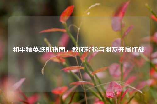 和平精英联机指南，教你轻松与朋友并肩作战