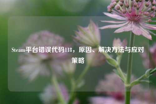 Steam平台错误代码118，原因、解决方法与应对策略