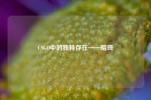 CSGO中的独特存在——暗斑