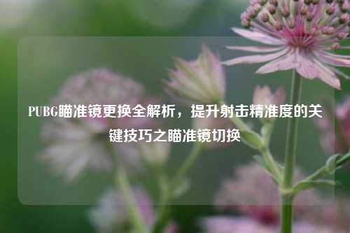 PUBG瞄准镜更换全解析，提升射击精准度的关键技巧之瞄准镜切换