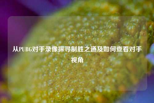 从PUBG对手录像探寻制胜之道及如何查看对手视角