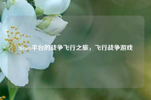 Steam平台的战争飞行之旅，飞行战争游戏