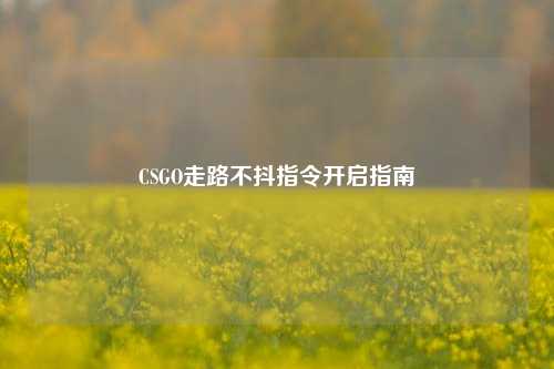 CSGO走路不抖指令开启指南