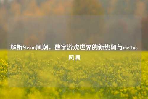 解析Steam风潮，数字游戏世界的新热潮与me too风潮