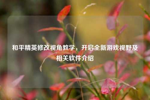 和平精英修改视角教学，开启全新游戏视野及相关软件介绍
