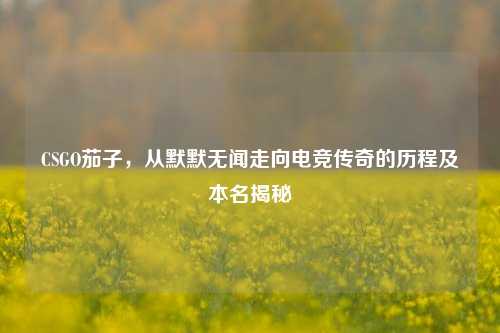 CSGO茄子，从默默无闻走向电竞传奇的历程及本名揭秘