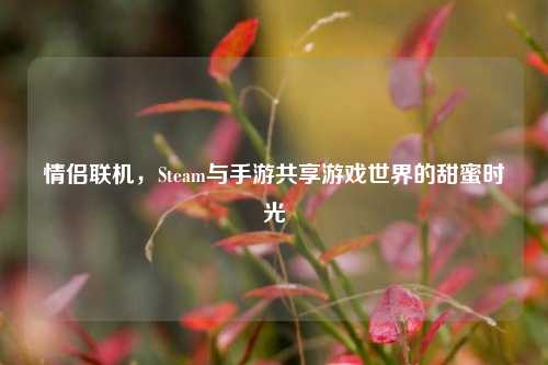 情侣联机，Steam与手游共享游戏世界的甜蜜时光