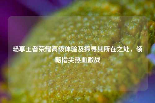 畅享王者荣耀高级体验及探寻其所在之处，领略指尖热血激战