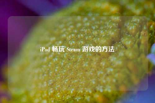 iPad 畅玩 Steam 游戏的方法