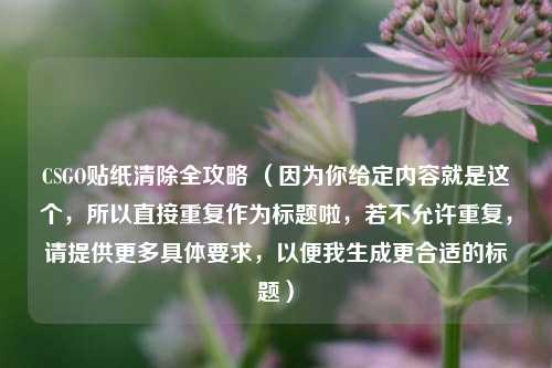 CSGO贴纸清除全攻略 （因为你给定内容就是这个，所以直接重复作为标题啦，若不允许重复，请提供更多具体要求，以便我生成更合适的标题）
