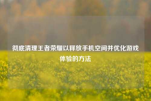 彻底清理王者荣耀以释放手机空间并优化游戏体验的方法
