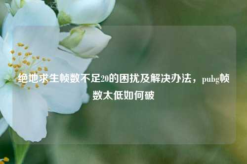 绝地求生帧数不足20的困扰及解决办法，pubg帧数太低如何破