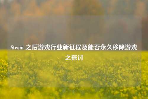 Steam 之后游戏行业新征程及能否永久移除游戏之探讨