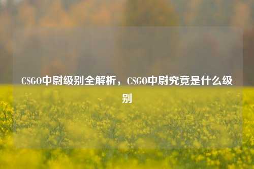 CSGO中尉级别全解析，CSGO中尉究竟是什么级别