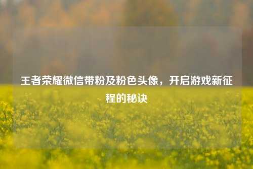 王者荣耀微信带粉及粉色头像，开启游戏新征程的秘诀