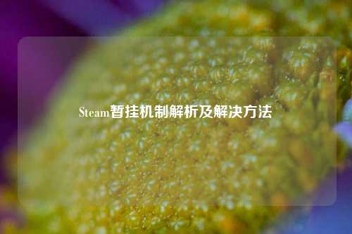 Steam暂挂机制解析及解决方法