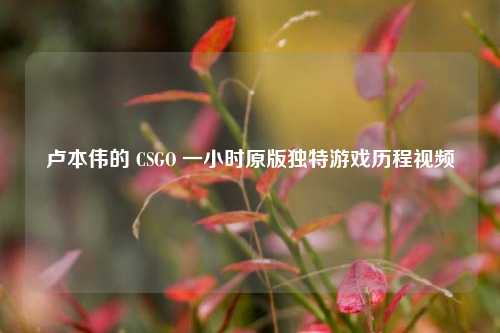 卢本伟的 CSGO 一小时原版独特游戏历程视频