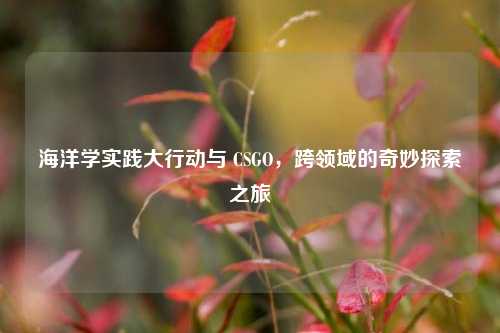 海洋学实践大行动与 CSGO，跨领域的奇妙探索之旅