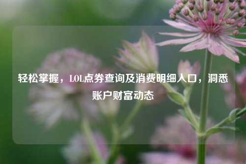 轻松掌握，LOL点券查询及消费明细入口，洞悉账户财富动态