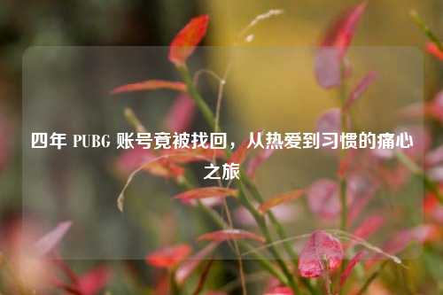 四年 PUBG 账号竟被找回，从热爱到习惯的痛心之旅