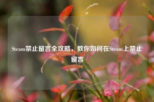 Steam禁止留言全攻略，教你如何在Steam上禁止留言