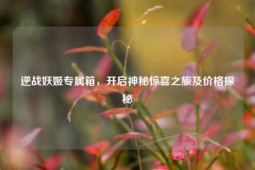 逆战妖姬专属箱，开启神秘惊喜之旅及价格探秘