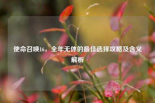 使命召唤16，全年无休的最佳选择攻略及含义解析