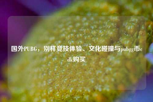 国外PUBG，别样竞技体验、文化碰撞与pubgg币cdk购买