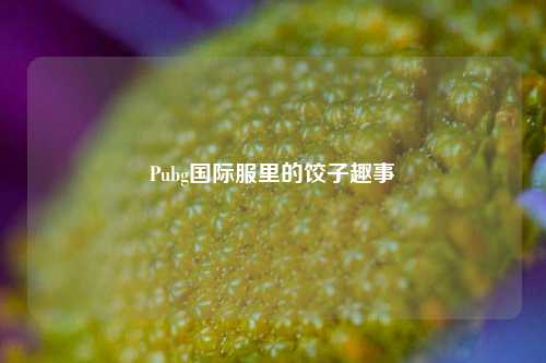 Pubg国际服里的饺子趣事