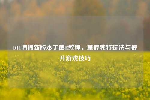 LOL酒桶新版本无限E教程，掌握独特玩法与提升游戏技巧