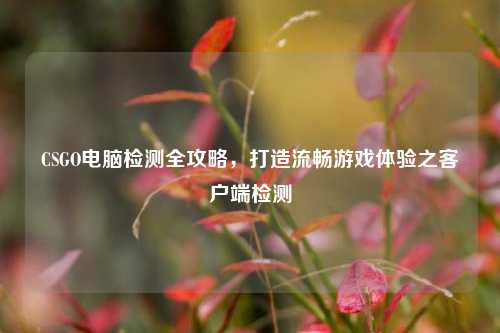 CSGO电脑检测全攻略，打造流畅游戏体验之客户端检测