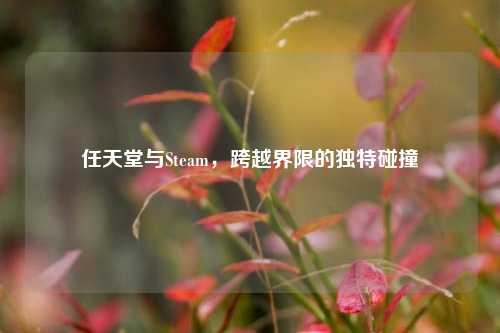 任天堂与Steam，跨越界限的独特碰撞