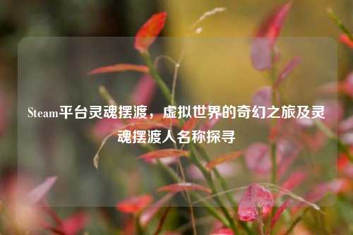 Steam平台灵魂摆渡,虚拟世界的奇幻之旅及灵魂摆渡人名称探寻