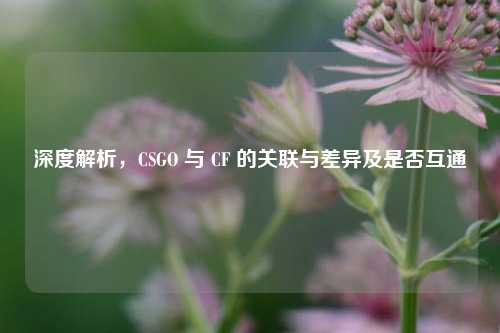 深度解析，CSGO 与 CF 的关联与差异及是否互通