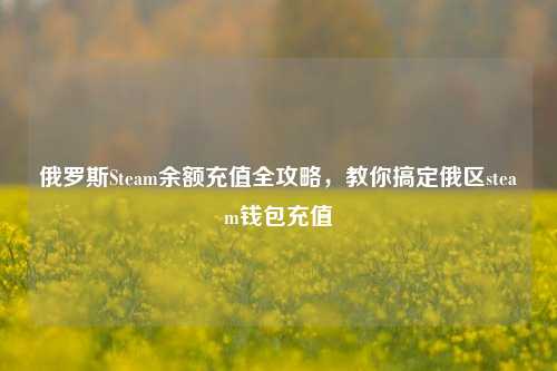 俄罗斯Steam余额充值全攻略，教你搞定俄区steam钱包充值